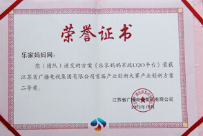 江苏卫视创新大赛二等奖